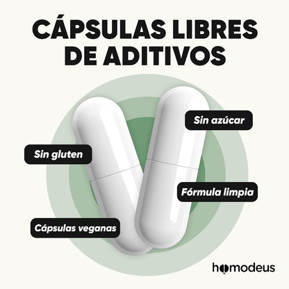 Rhodiola Rosea con L-Teanina y Coenzima Q10 | Cápsulas Vegetales Adaptógenas | 616 mg Rhodiola, 100 mg L-Teanina, 100 mg CoQ10 por Porción para Apoyar la Calma