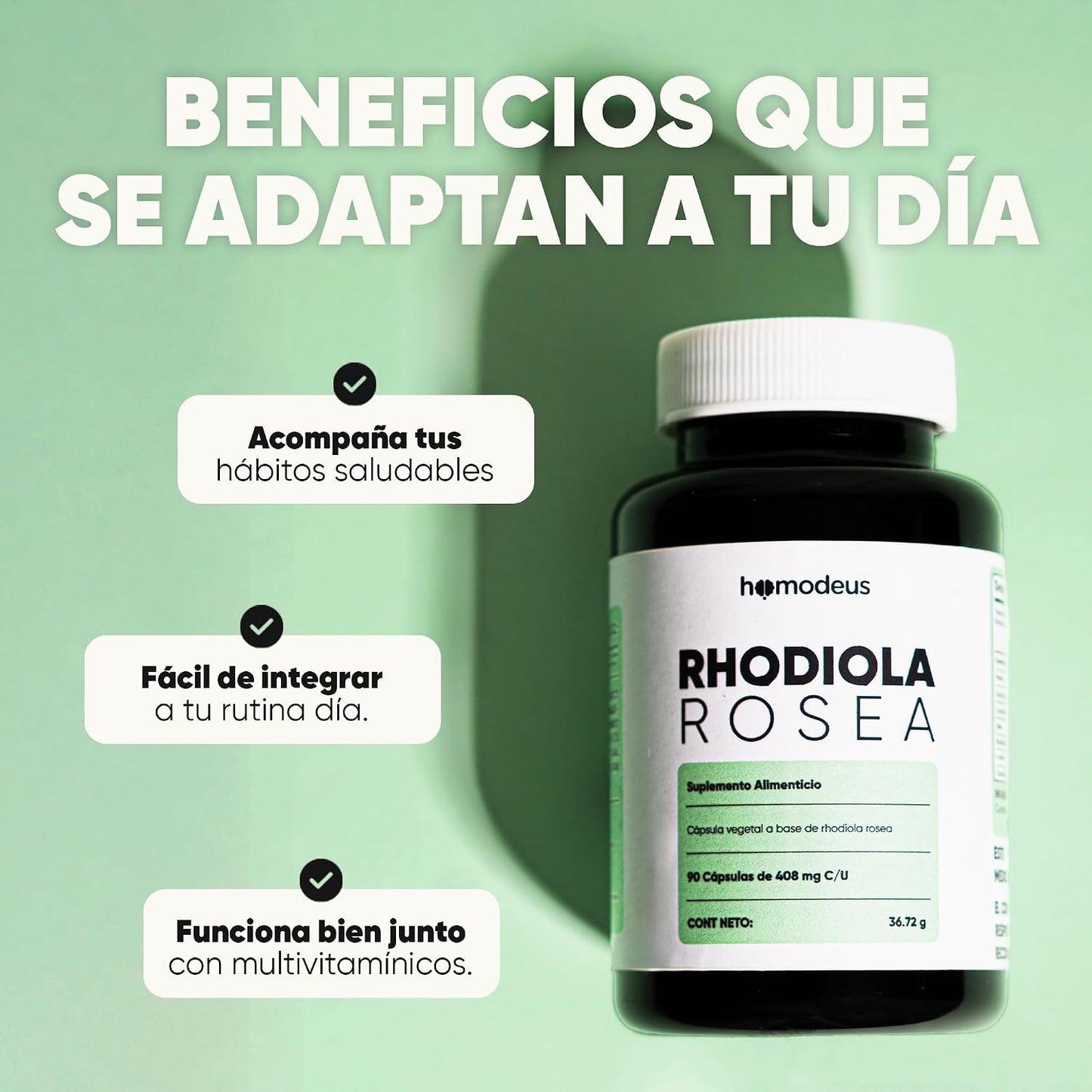 Rhodiola Rosea con L-Teanina y Coenzima Q10 | Cápsulas Vegetales Adaptógenas | 616 mg Rhodiola, 100 mg L-Teanina, 100 mg CoQ10 por Porción para Apoyar la Calma
