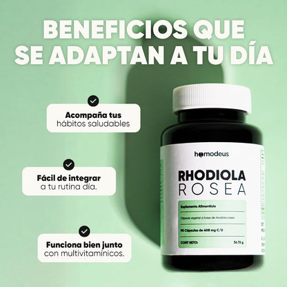 Rhodiola Rosea con L-Teanina y Coenzima Q10 | Cápsulas Vegetales Adaptógenas | 616 mg Rhodiola, 100 mg L-Teanina, 100 mg CoQ10 por Porción para Apoyar la Calma