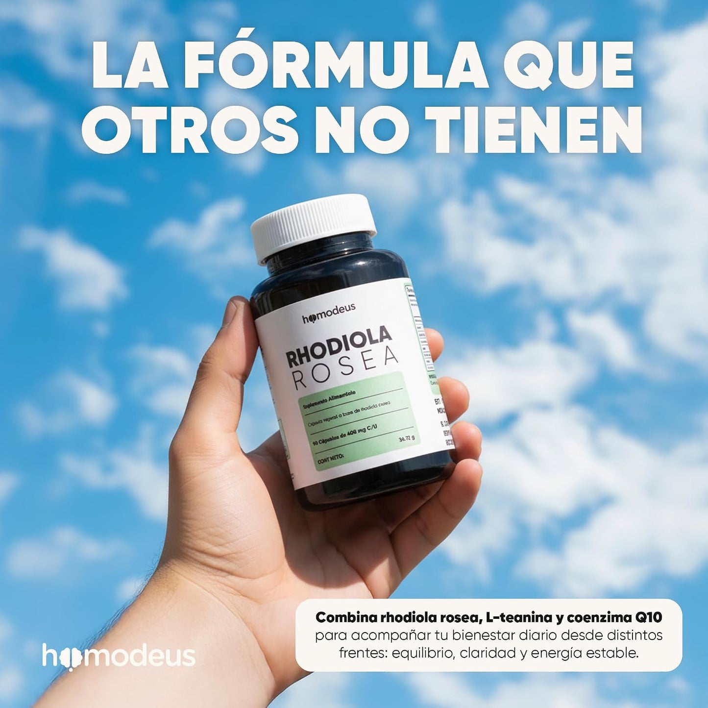 Rhodiola Rosea con L-Teanina y Coenzima Q10 | Cápsulas Vegetales Adaptógenas | 616 mg Rhodiola, 100 mg L-Teanina, 100 mg CoQ10 por Porción para Apoyar la Calma