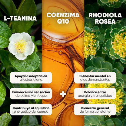 Rhodiola Rosea con L-Teanina y Coenzima Q10 | Cápsulas Vegetales Adaptógenas | 616 mg Rhodiola, 100 mg L-Teanina, 100 mg CoQ10 por Porción para Apoyar la Calma