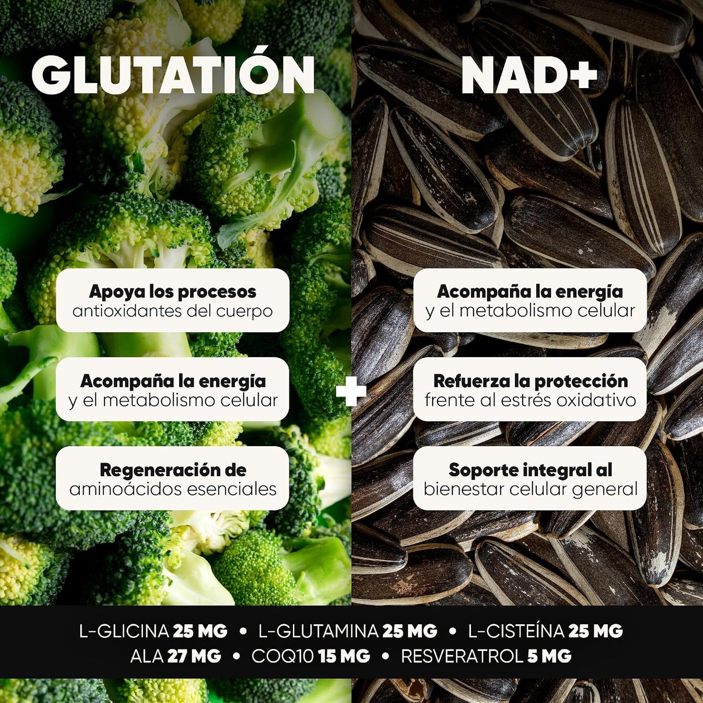 Glutatión 500 mg + NAD+ 200 mg con NAC, Ácido Alfa-Lipoico y CoQ10 | Suplemento Antioxidante en Cápsulas Veganas | Glicina y Glutamina para Bienestar Integral y Energía Celular | Homodeus
