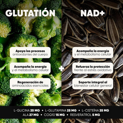 Glutatión 500 mg + NAD+ 200 mg con NAC, Ácido Alfa-Lipoico y CoQ10 | Suplemento Antioxidante en Cápsulas Veganas | Glicina y Glutamina para Bienestar Integral y Energía Celular | Homodeus